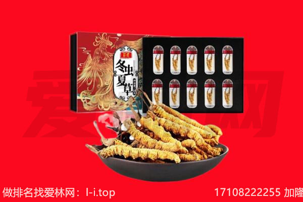 南山区回收虫草.jpg